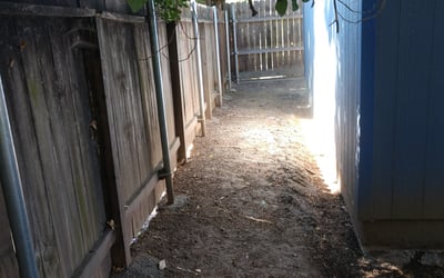 Photo of phillip C.'s yard after getting landscaping in Pollock Pines, CA