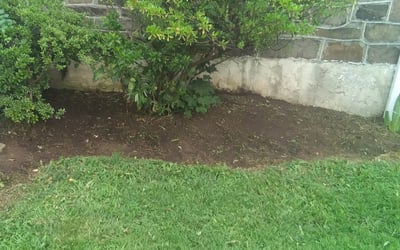 Photo of James S.'s yard after getting landscaping in Exton, PA