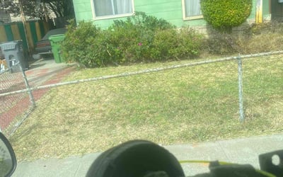 Photo of Portia B.'s yard after getting landscaping in Oakland, CA