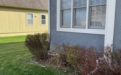 Photo of Paul M.'s yard after getting landscaping in Kidder, MO