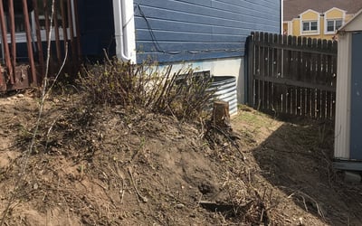 Photo of Rachel W.'s yard after getting landscaping in Alma, CO
