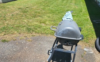 Photo of Stephanie C.'s yard after getting landscaping in Heath Springs, SC