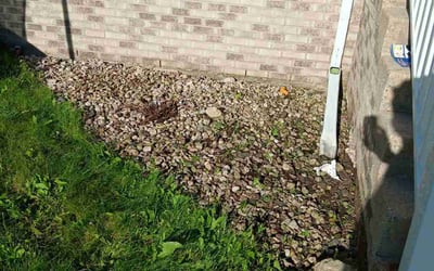Photo of Joshua T.'s yard after getting landscaping in Lodi, WI