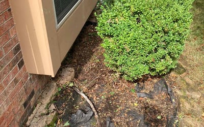 Photo of Kristi L.'s yard after getting landscaping in Edinburgh, IN