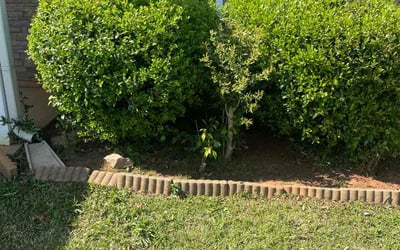 Photo of Donald F.'s yard after getting tree care in Buford, GA