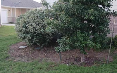 Photo of Ashley J.'s yard after getting landscaping in Coupland, TX