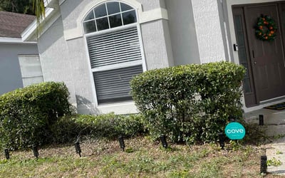 Photo of Colleen G.'s yard after getting landscaping in Killarney, FL
