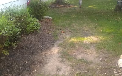 Photo of Elizabeth W.'s yard after getting landscaping in Edinburgh, IN