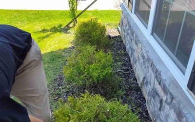 Photo of Angela W.'s yard after getting landscaping in Utica, OH