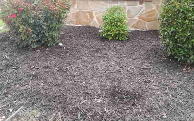 Photo of Samantha F.'s yard after getting landscaping in Red Oak, TX