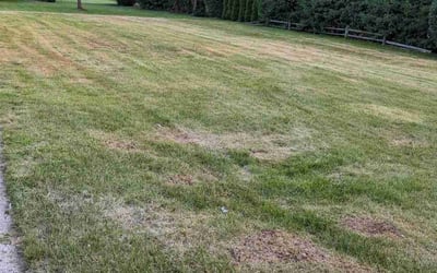 Photo of Deborah C.'s yard after getting landscaping in Waterford, MI