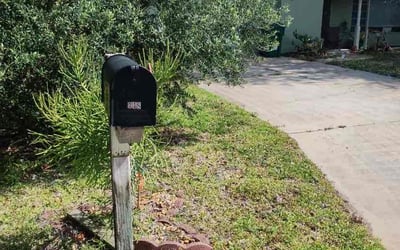 Photo of Shirley S.'s yard after getting tree care in Titusville, FL