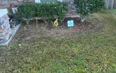 Photo of Mark M.'s yard after getting tree care in Bryceville, FL