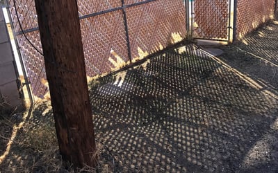Photo of Kristin L.'s yard after getting landscaping in Wittmann, AZ