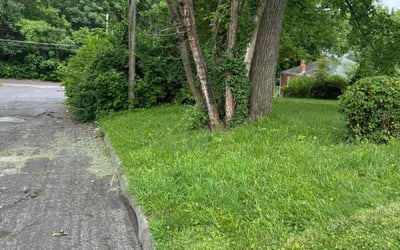 Photo of Erica W.'s yard after getting landscaping in Florissant, MO