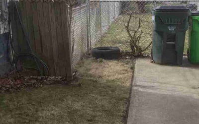 Photo of Anna S.'s yard after getting landscaping in Broadview Heights, OH