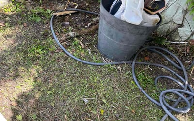 Photo of Rachel M.'s yard after getting landscaping in Miami, FL