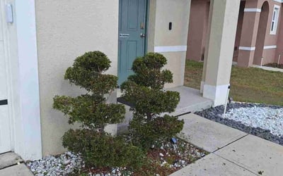 Photo of Carl S.'s yard after getting landscaping in Lakeshore, FL
