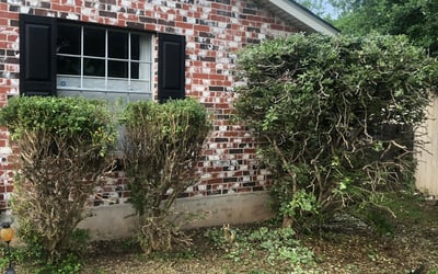 Photo of Emily B.'s yard after getting landscaping in Mc Dade, TX