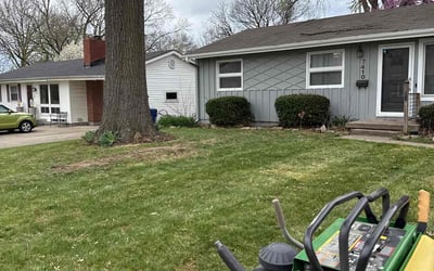 Photo of Jennifer M.'s yard after getting landscaping in Mayview, MO