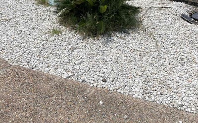 Photo of Mike L.'s yard after getting landscaping in Mathis, TX