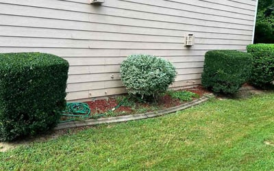 Photo of Dennis T.'s yard after getting landscaping in Kennesaw, GA