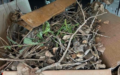 Photo of Vicky H.'s yard after getting landscaping in Alvord, TX