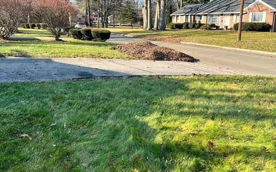 Photo of Steven H.'s yard after getting landscaping in Bowling Green, OH