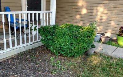 Photo of Arbredella A.'s yard after getting landscaping in Fairland, IN