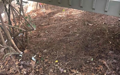 Photo of Willie T.'s yard after getting landscaping in Marietta, GA