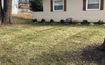 Photo of Lauren R.'s yard after getting landscaping in Camden Point, MO
