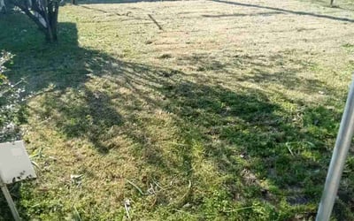 Photo of Amy C.'s yard after getting landscaping in Senatobia, MS