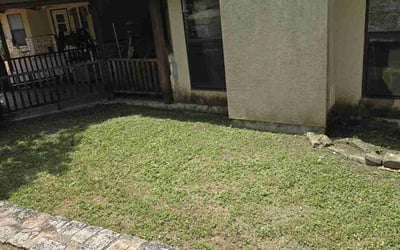 Photo of Sam R.'s yard after getting landscaping in San Antonio, TX