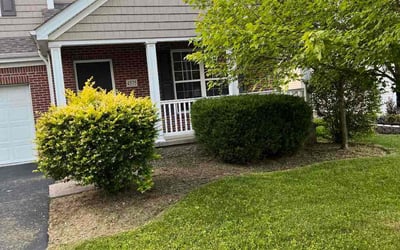 Photo of Brandon C.'s yard after getting landscaping in Buckeye Lake, OH