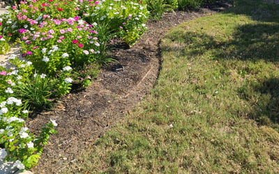 Photo of Elizabeth B.'s yard after getting landscaping in Red Rock, TX