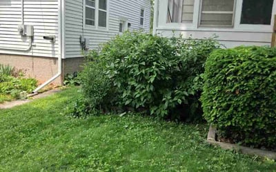 Photo of Tim W.'s yard after getting landscaping in Madison, WI