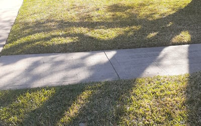 Photo of James H.'s yard after getting landscaping in South Houston, TX
