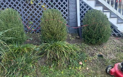 Photo of Nick H.'s yard after getting landscaping in Arnold, MD