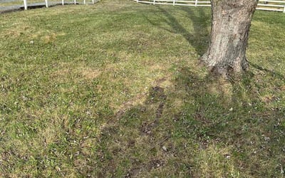 Photo of Angela B.'s yard after getting landscaping in Richwood, OH