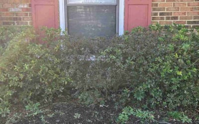 Photo of Stephen N.'s yard after getting landscaping in White Marsh, VA