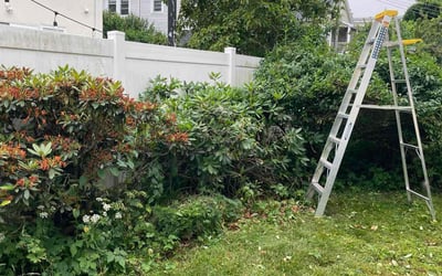 Photo of Tom R.'s yard after getting landscaping in Ipswich, MA