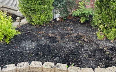 Photo of Chase S.'s yard after getting landscaping in Thorntown, IN