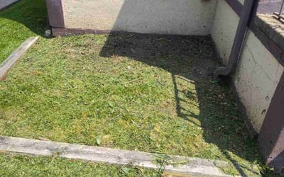 Photo of Amanda L.'s yard after getting landscaping in Sheffield Lake, OH