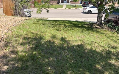 Photo of Jennifer P.'s yard after getting landscaping in Aurora, CO