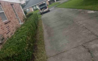Photo of Frances A.'s yard after getting landscaping in Clinton, LA