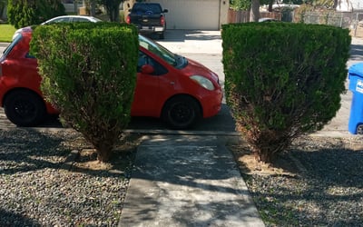 Photo of Monica R.'s yard after getting lawn care in Menifee, CA