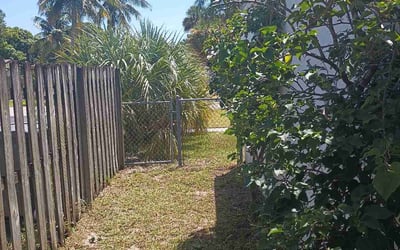 Photo of Tammy A.'s yard after getting tree care in Lake Worth, FL
