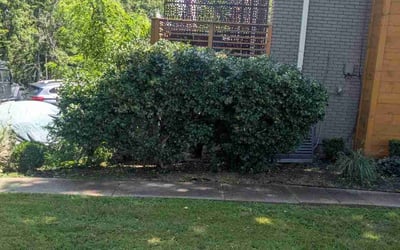 Photo of Adam G.'s yard after getting landscaping in Nashville, TN