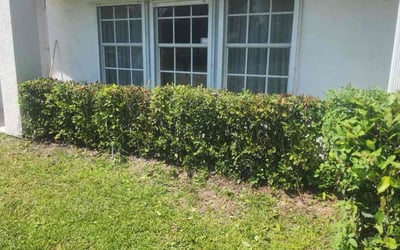 Photo of Barry C.'s yard after getting landscaping in Scottsmoor, FL
