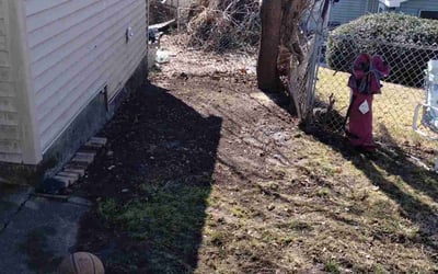 Photo of Kimberly P.'s yard after getting landscaping in Hazleton, PA
